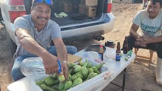 ElGatoParadoOficial asi preparamos las calabacitas en las parcelas [upl. by Steady297]