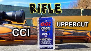 CCI Uppercut 22LR RIFLE Ballistic Gel Test amp Review [upl. by Anolahs]