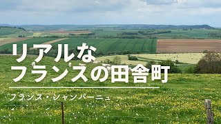 【フランス・シャンパーニュ田舎暮らし】観光客がいないフランスの田舎町を散策 [upl. by Manaker230]