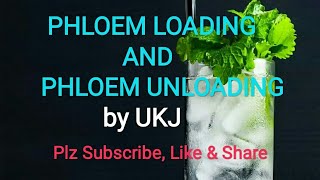 PHLOEM LOADING AND UNLOADING [upl. by Onilecram]