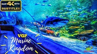 VGP Marine Kingdom  Indias first Underwater tunnel aquarium  Must visit place in Chennai [upl. by Dinny]