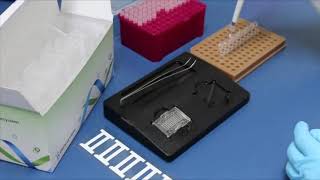 Sistema PCR en tiempo real GENECHECKER ® modelo UF300 [upl. by Eriam661]