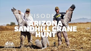 Rib Eye of the sky  E27  Arizona Sandhill Crane Hunt [upl. by Hpeosj]