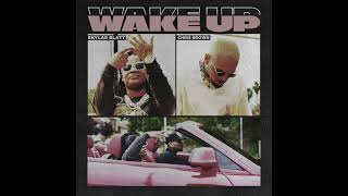 Skylar Blatt Wake Up Ft Chris Brown Clean [upl. by Ziul81]