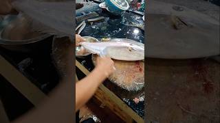 River leather jacket fishcutting freshwater shorts video [upl. by Zile]