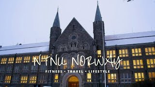 NTNU TRONDHEIM THE MOST BEAUTIFUL UNIVERSITY IN EUROPE [upl. by Ahtnama]