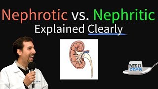 Nephrotic Syndrome vs Nephritic Syndrome Explained Nephritic vs Nephrotic [upl. by Graubert841]