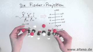 Die FischerProjektion [upl. by Donough]