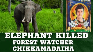 Elephant killed forest watcher Chikkamadaiah in the Bannerghatta forest range [upl. by Saleme]