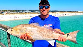 Saltwater Pier Fishing  Cooking Whatever We Catch [upl. by Pietrek279]