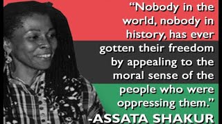 RBGAssata Speaks On Being Shot fCommon A Song for Assata [upl. by Hans]