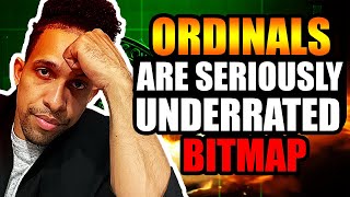 ORDINALS How To OWN A Piece Of The Bitcoin Blockchain [upl. by Aerdnua306]