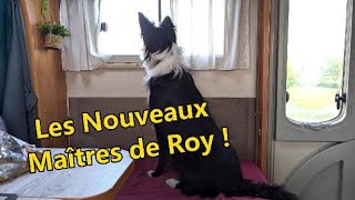 Les nouveaux maîtres de Roy [upl. by Hillard]