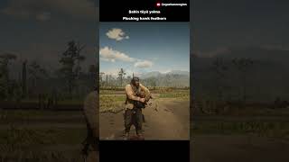 Plucking hawk feathers shorts rdr2 [upl. by Peery]