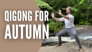 Autumn Qigong  Lungs and Immune System  Metal Element Qigong for Autumn [upl. by Cullan219]