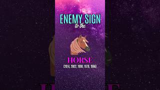 Year Of The Horse Chinese Zodiac enemy sign numerology chinesezodiac astrology horse horoscope [upl. by Eiffub]