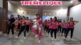 Tremelique  zumba  lilac [upl. by Kiki950]