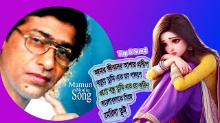 মামুন নদীয়ার সেরা পাচটি গান  লালনগীতি  Top 5 Song  Mamun Nodia Official  Bangla Baul Song [upl. by Vareck]