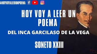 SONETO XXIII DEL INCA GARCILASO DE LA VEGA [upl. by Bobina207]