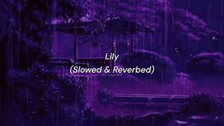 Lily  Slowed amp Reverbed Slowed amp Reverbed   Alan Walker Emilie Hollow amp K391 [upl. by Lleze]