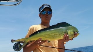 Fly Fishing for Mahi Mahi or Dolphin [upl. by Prager]