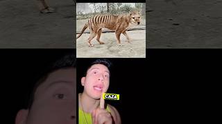 ANIMALES EXTINTOS QUE NO SABÍAS😱🤯🐼🐹🦆short sabiasque curiosidades datos animals viral [upl. by Assen]