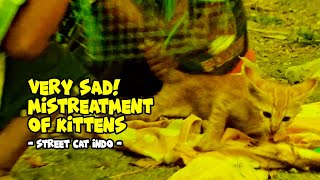 Very Sad mistreatment of kittens and mother cat almost fight  CAT BEHAVIOR COMPILATION  PART 5 [upl. by Timothy]