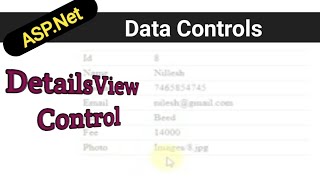 ASPNet DetailsView Control  Databinding controls in aspnet  SqlDataSource in hindi [upl. by Hluchy]