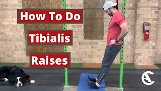 Tibialis Raises [upl. by Pasadis]