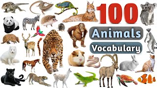 Animals Vocabulary In English ll 100 Animals Name In English With Pictures [upl. by Acirre]