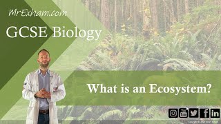 What is an ecosystem  GCSE Biology 91  91 [upl. by Hartfield]