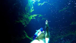 Freediving the Blue Hole of Ichetucknee Springs  Floridas BEST Natural Springs [upl. by Strawn]