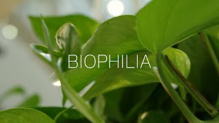 BIOPHILIA [upl. by Anaiuq708]