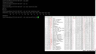 How Unix Treats Files Differently From Windows [upl. by Beal897]