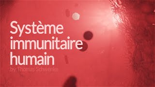 Comment fonctionne le système immunitaire humain  Animation [upl. by Leribag]