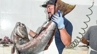 this is how we process your fish in cedros island [upl. by Janka853]