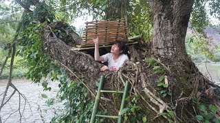 Buiding survival shelter shelter in the tree Bushcraft hut  LIVING OFF GRID Camping Wild [upl. by Ange159]