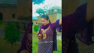 New Dogri Himachali Song Short Video 🔥✨🔥dogri himachali song youtubeshorts sapphiredograhere [upl. by Lindeberg264]