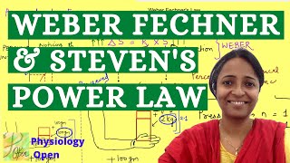 Weber Fechner law and Steven Power law  Sensory physiology lectures  CNS physiology mbbs 1st year [upl. by Amsirhc]