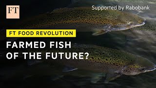 A better way to farm fish  FT Food Revolution [upl. by Tima]