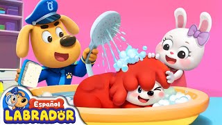 🔍Sheriff Labrador  Mi Mascota No Quiere Bañarse 🛁  Videos para Niños  BabyBus en Español [upl. by Haidebez]