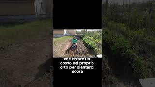 Che cosè la BAULATURA   GUARDA IL VIDEO COMPLETO shorts [upl. by Thoma136]