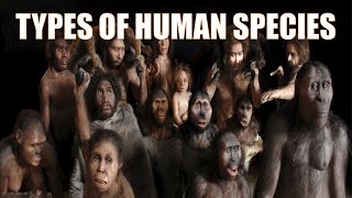 14 Different Types of Human Species  Explained [upl. by Ricky]