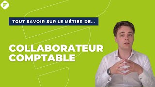 COLLABORATEUR COMPTABLE  Tout ce quil faut savoir  Fiche métier [upl. by Quackenbush]