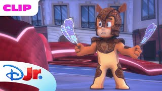 PJ Masks Power Heroes  Moth Boy  disneyjr x PJMasksOfficial [upl. by Anitsyrc]