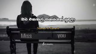 ඔබ එනකල් තනියෙන් ඉදලා  Oba Enakal Thaniyen Idala  Slowed and Reverb  ASIMUSIC [upl. by Anyat385]