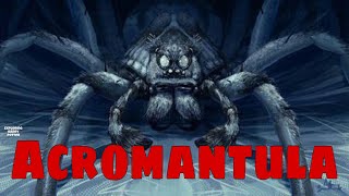 Acromantula  Harry Potter Explained [upl. by Enellij]