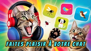 Les sons préférés des chats  comment attirer un chat  GARANTI [upl. by Inad]