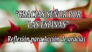 Reflexión para Acción de gracias quotGracias Señor por las espinasquot [upl. by Chariot]