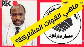 ما هي القوات المشتركة في الفاشر؟ عزالدين ودكونديه يشرح مكونات القوات المشتركة في السودان اليوم [upl. by Odama781]